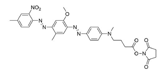 UBQ-1 NHS Ester - 5 mg