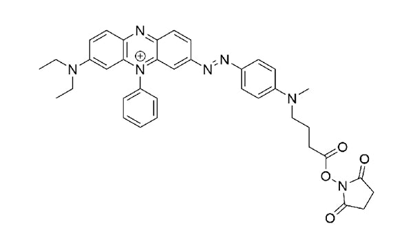 UBQ-3 NHS Ester - 5 mg