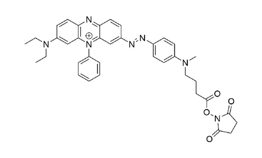 UBQ-3 NHS Ester - 5 mg