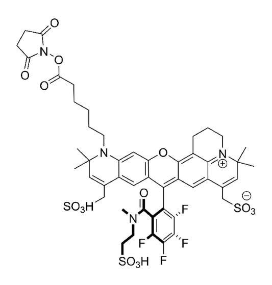 MB 633 NHS Ester - 1 mg