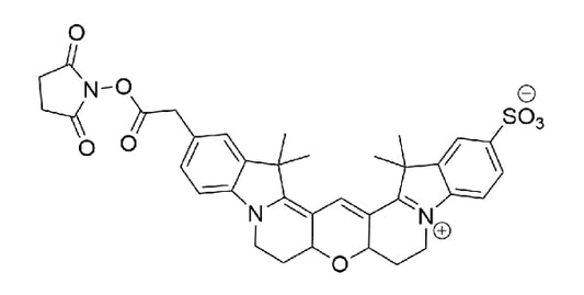 Cy3B NHS Ester - 5 mg