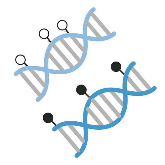 ***CUTANA™ Fragmented Controls for DNA Methylation Sequencing Set