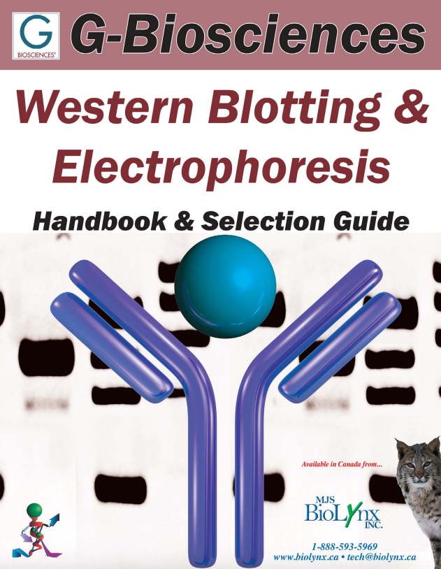 Western Blotting & Electrophoresis Handbook & Selection Guide