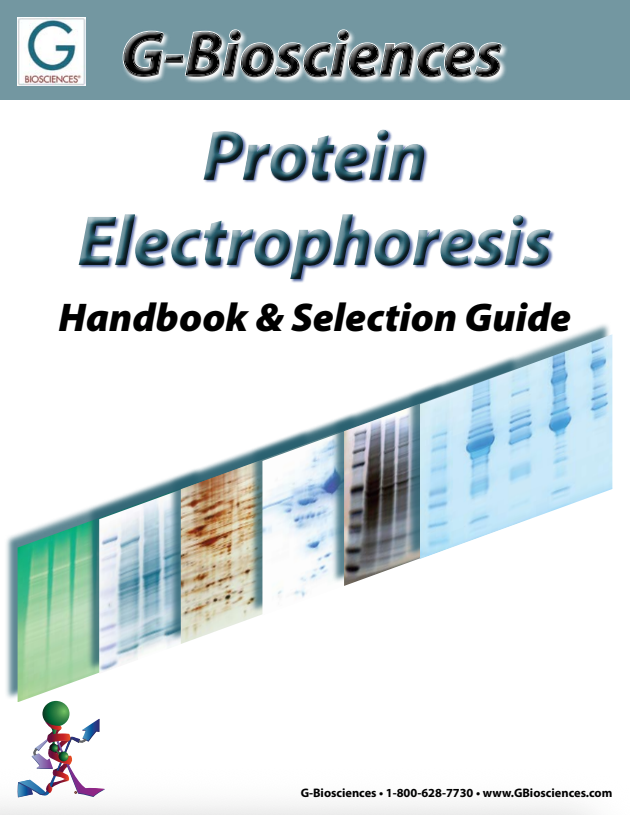 Protein Electrophoresis Handbook and Selection Guide