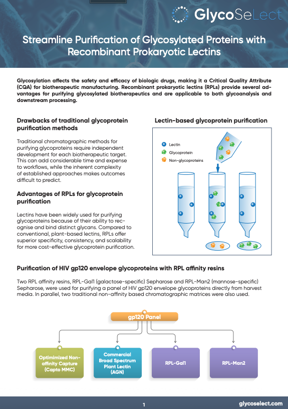 Streamline Purification of Glycosylated Proteins with Recombinant Prokaryotic lectins