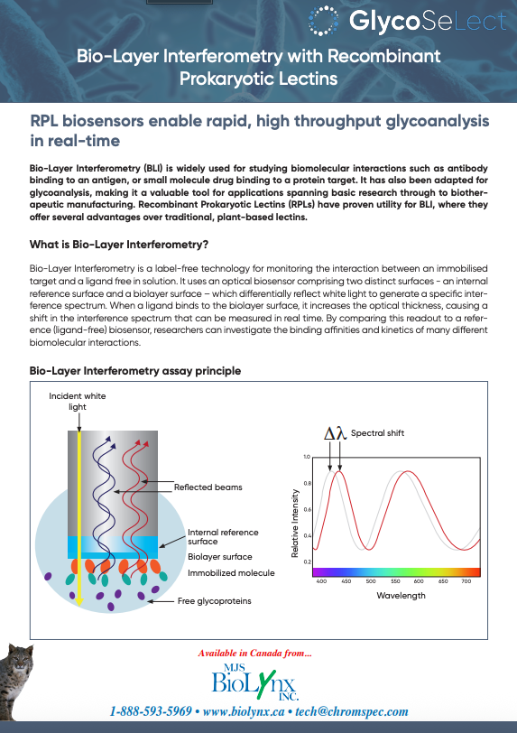 Bio-Layer inteferometry with Recombinant Prokaryotic Lectins