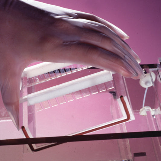 23 x 14 cm DNA Plus UV Transmissible Gel Tray with Silicone Gaskets