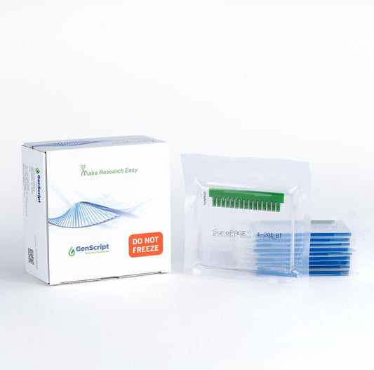 SurePAGE™, Bis-Tris, 10x8, 4-20%, 15 wells