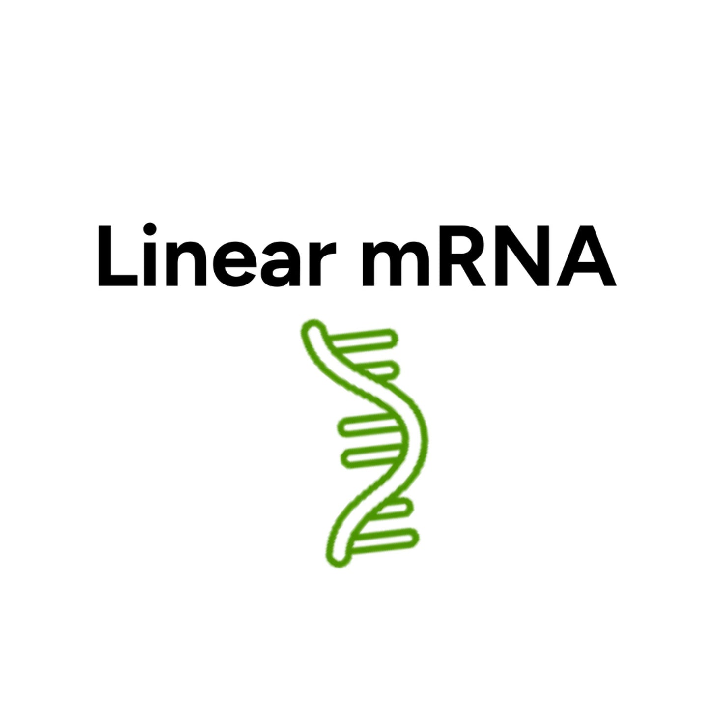 **eGFP mRNA (Cap1, 5-MOU), 0.2 mg