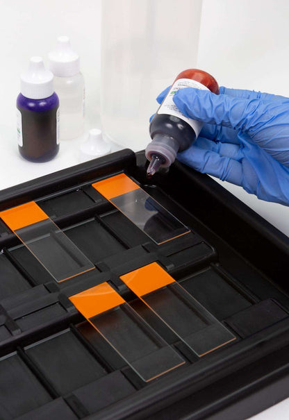 18-Place Slide Staining Tray, Black, 1/pk