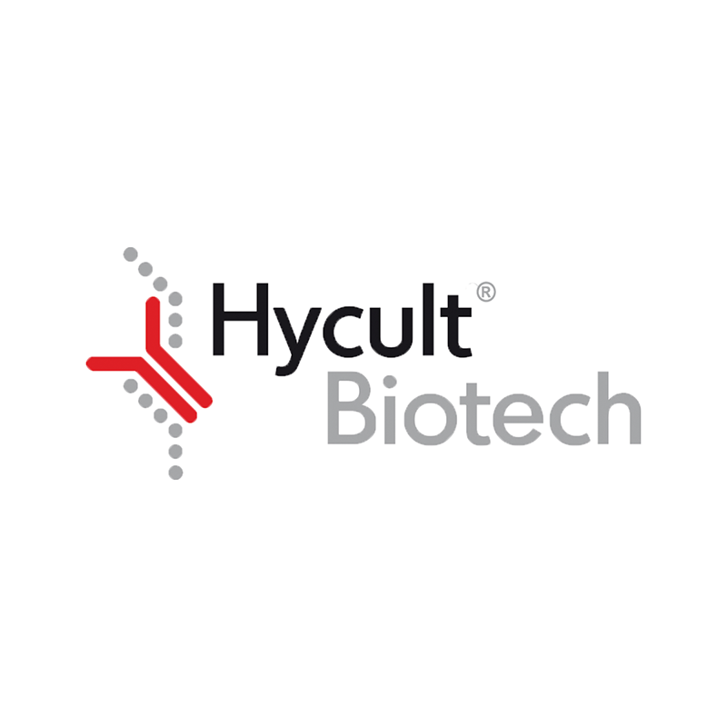 Logo of Hycult Biotech for HYBHM1141500UG - Podoplanin, Mouse, mAb LpMab-1, 500 µg