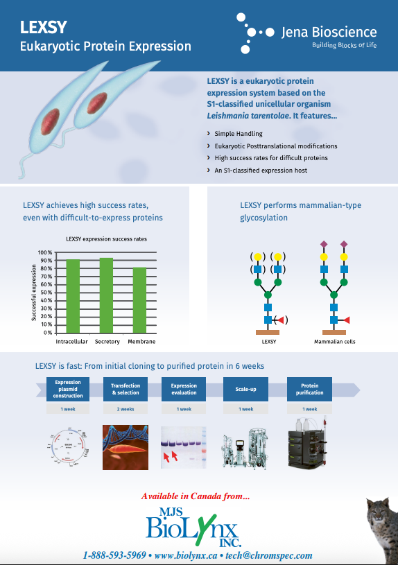 LEXSY – Eukaryotic Protein Expression System