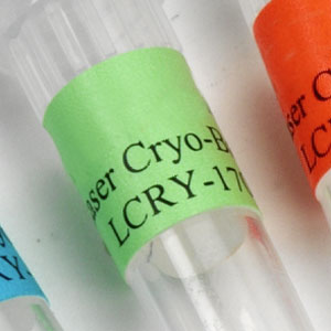 Laser Cryo-Babies®, Large, 1.28” L x 0.5” W. Labels/Sheet: 85. Labels/Package: 1700, Green