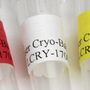 Laser Cryo-Babies®, Small, 0.94” L x 0.5” W. Labels/Sheet: 119. Labels/Package: 2380, White