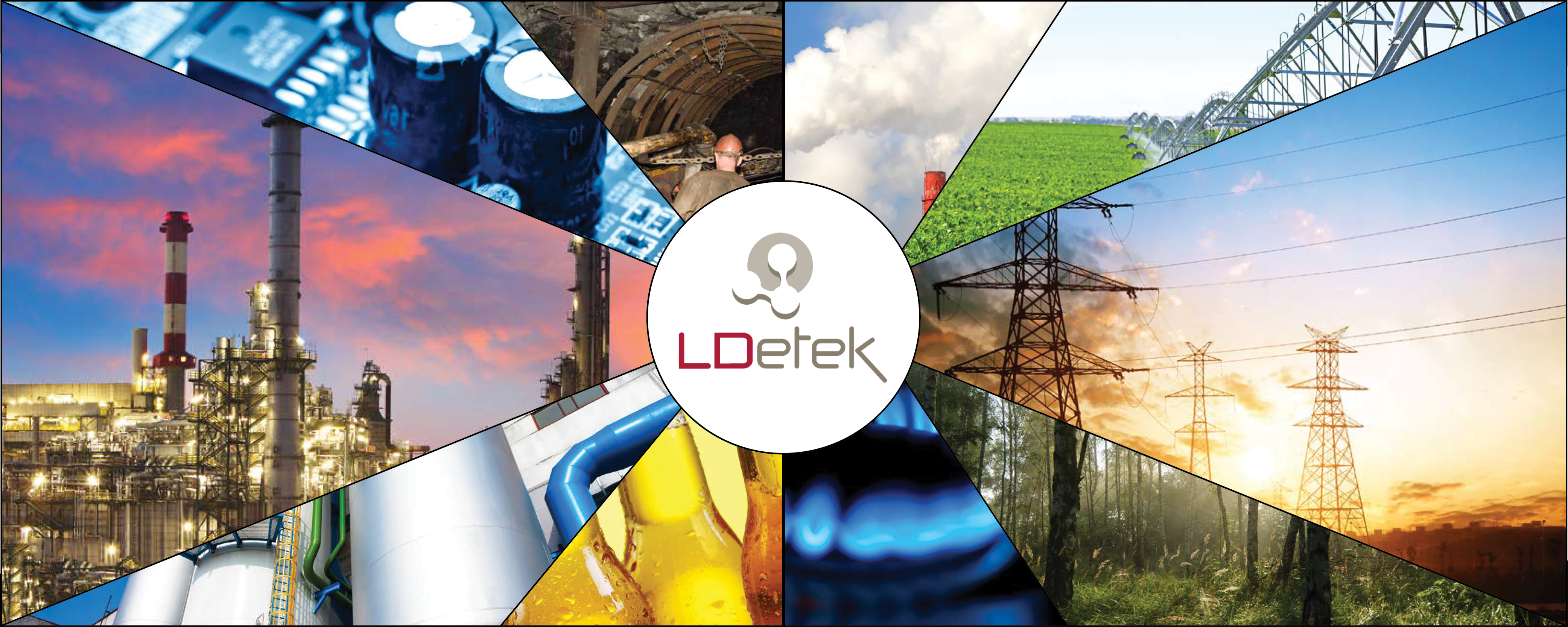 LDetek