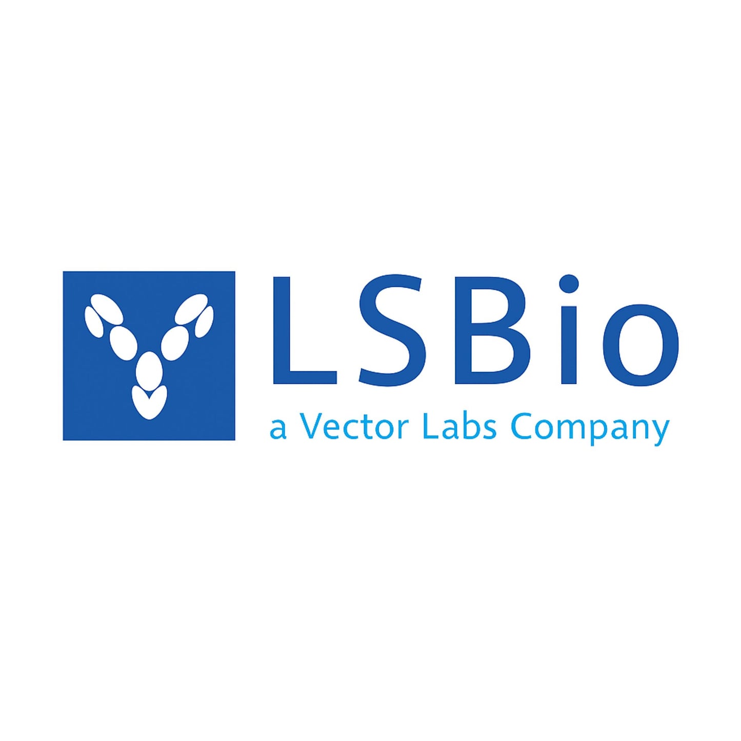 Polyclonal Rabbit anti‑Human GLP1 / Glucagon‑Like Peptide 1 Antibody (C‑Terminus, WB) LS‑C23838, 100 µg