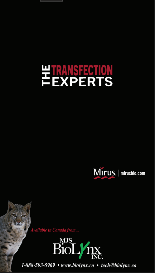Transfection Products Catalogue