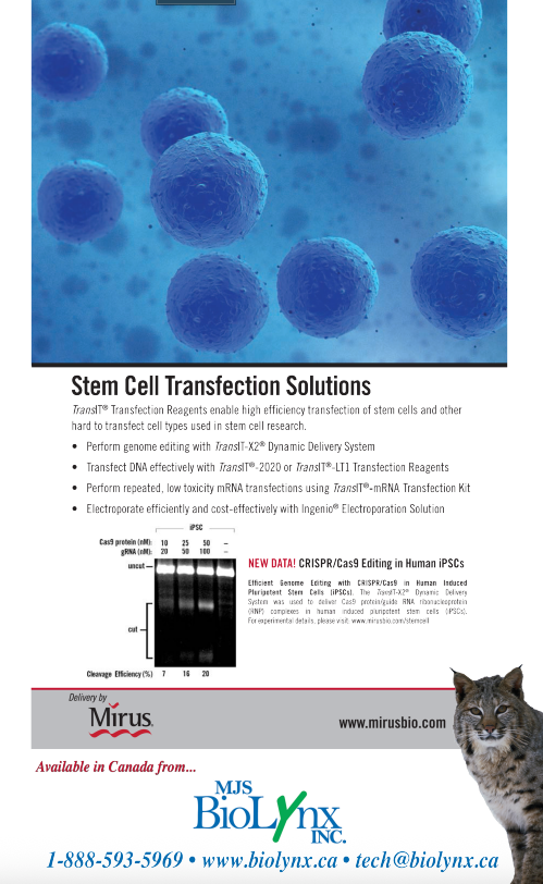Stem cell Transfection Solutions