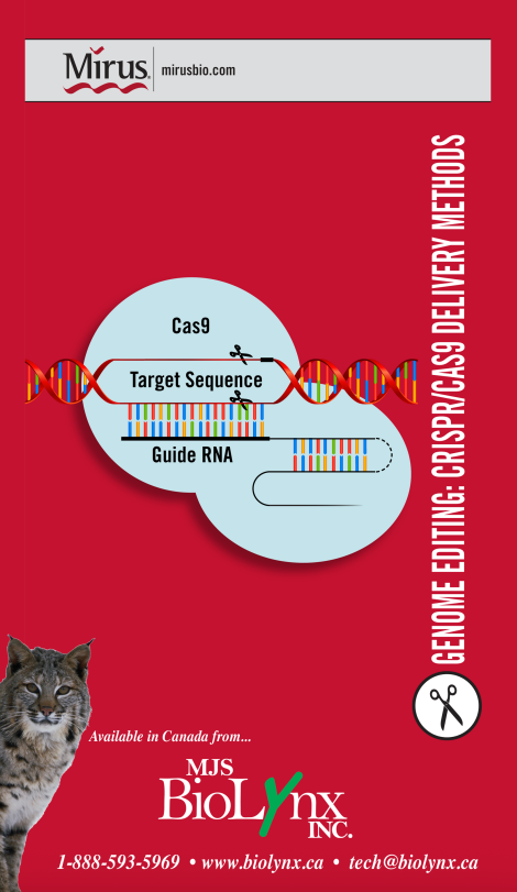 CRISPR/Cas9 Genome Editing: Transfection Methods