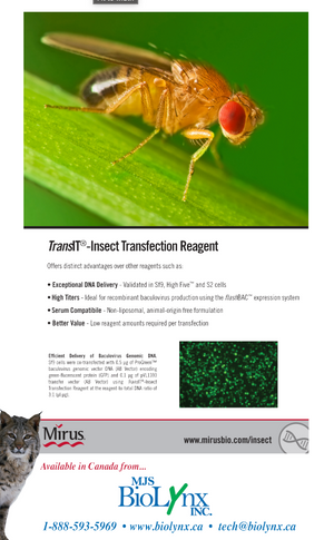 Insect Cell Transfection Reagent
