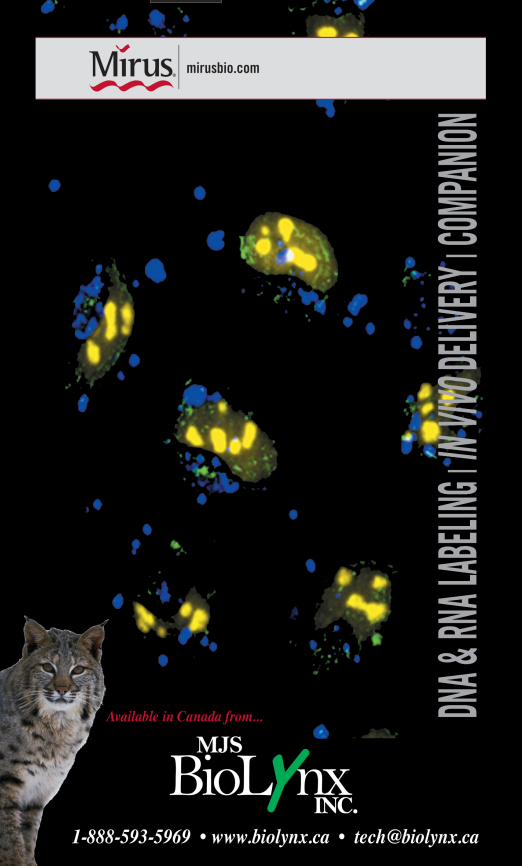 DNA & RNA Labeling / In Vivo Delivery