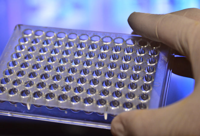 Image of SKCA96110 - Pyroplate® 96-Well Microplate