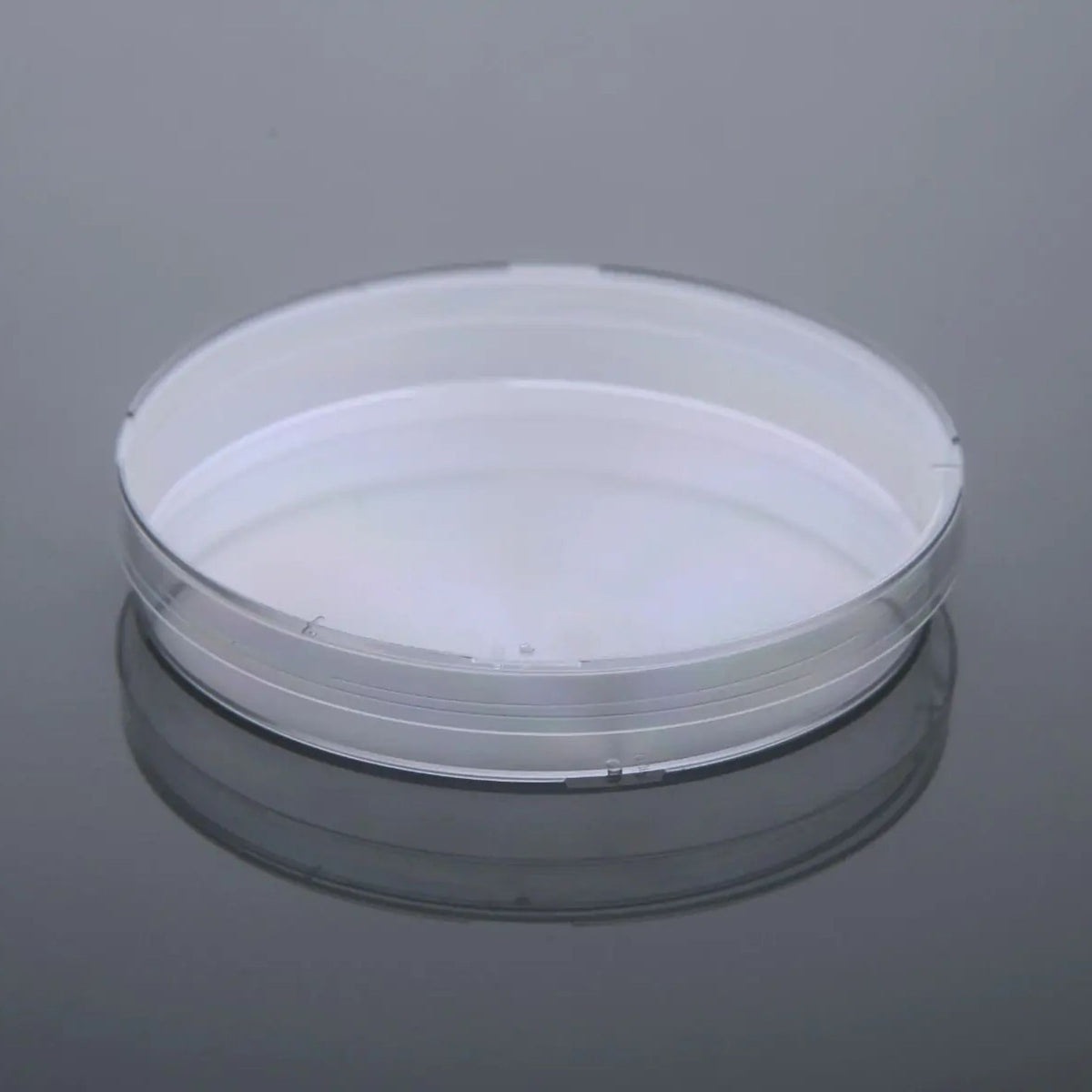 100 x 15 mm Petri Dish, Slippable, Sterile, 20/pk, 500/cs
