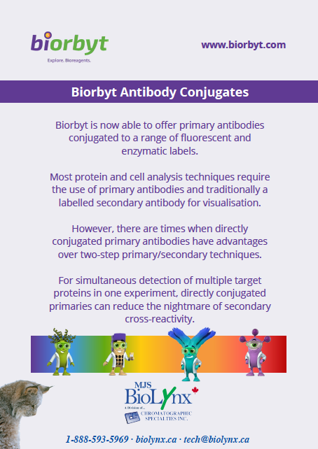 Biorbyt Antibody Conjugates