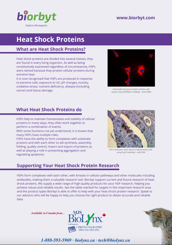 Heat Shock Proteins
