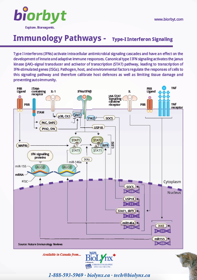 Immunology Pathways