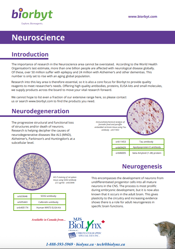Neuroscience