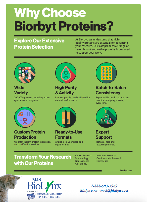 Why Choose Biorbyt Proteins?