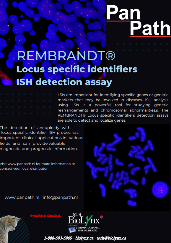 Rembrandt LSI