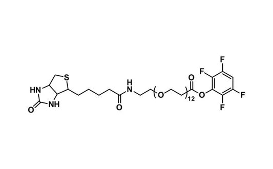 Biotin-dPEG®₁₂-TFP ester - 1000 mg