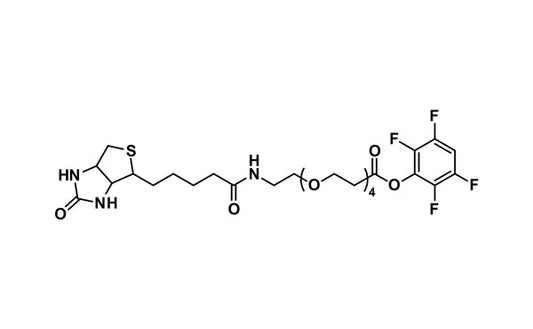 Biotin-dPEG®₄-TFP ester - 1000 mg