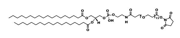 Image of VECTQBD1002825 - NHS-dPEG®₁₃-DSPE - 25 mg