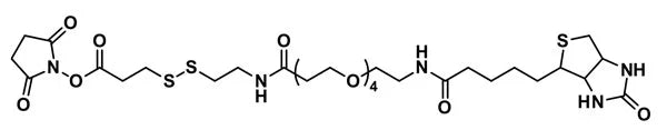 NHS-S-S-dPEG®₄-biotin (cleavable) - 500 mg