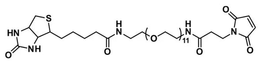 Biotin-dPEG®₁₁-MAL - 25 mg