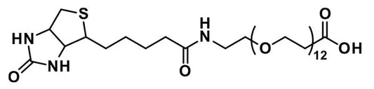 dPEG®₁₂-biotin acid - 1000 mg