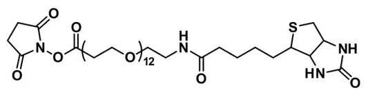 NHS-dPEG®₁₂-biotin - 50 mg