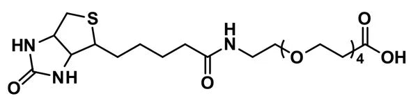 dPEG®₄-biotin acid - 1000 mg