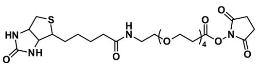 NHS-dPEG®₄-biotin - 1000 mg