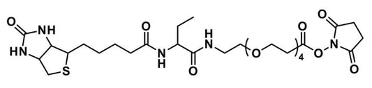 NHS-dPEG®₄-biotinidase resistant biotin - 100 mg