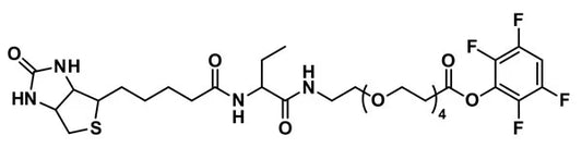 TFP-dPEG®₄-biotinidase resistant biotin - 1000 mg