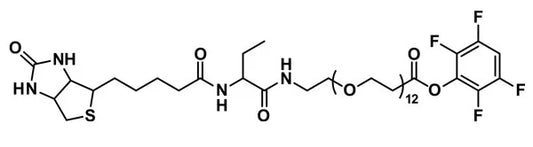 TFP-dPEG®₁₂-biotinidase resistant biotin - 1000 mg