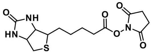 NHS-biotin - 100 mg