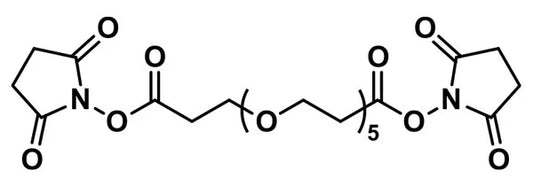 Bis-dPEG®₅-NHS ester - 1000 mg