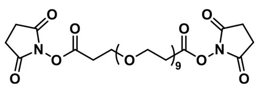 Bis-dPEG®₉-NHS ester - 1000 mg