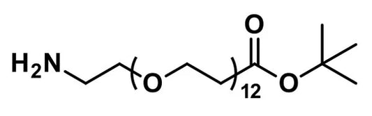 Amino-dPEG®₁₂-t-butyl ester - 1000 mg