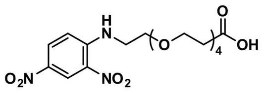 DNP-dPEG®₄-acid - 100 mg